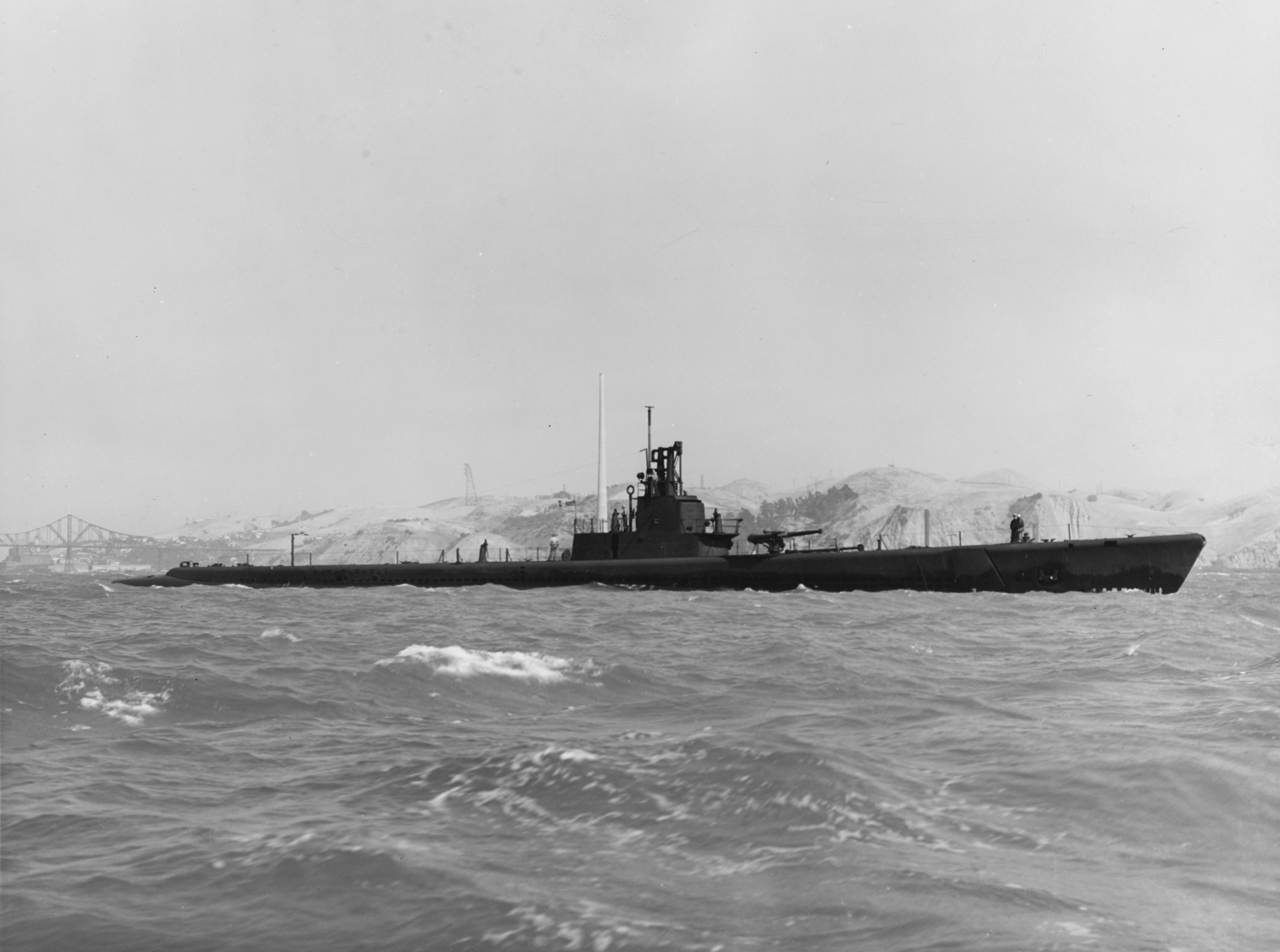 Harold 'Hal' Jensen